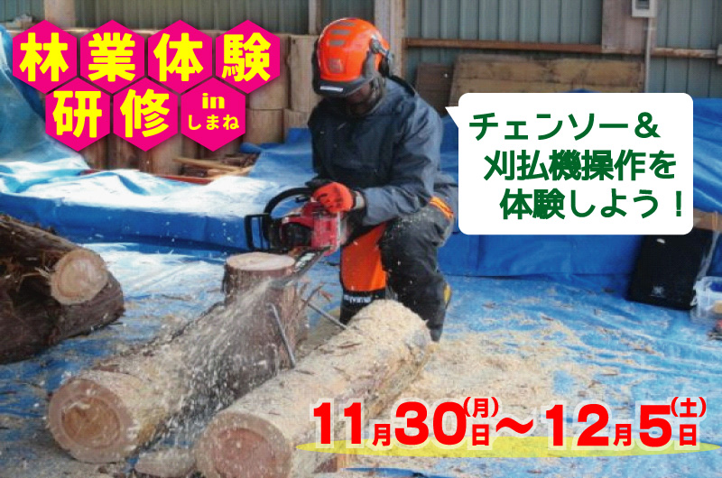 ＼＼「令和８年度　林業体験研修（第２回）」参加者募集／／